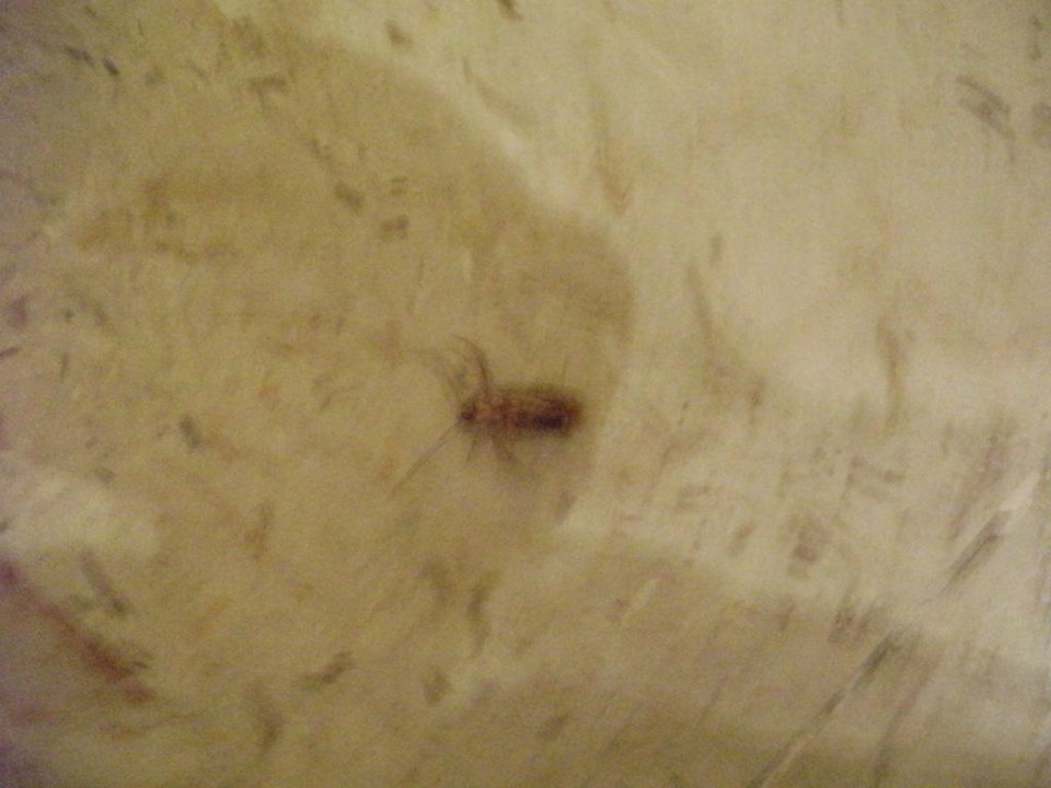 Ihre Mitbewohner Riviera Aqua Park Resort