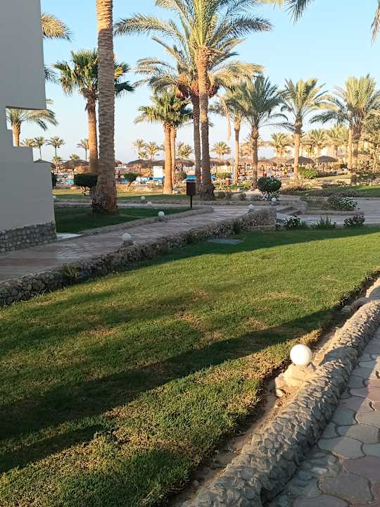 Gartenanlage Three Corners Sea Beach Resort