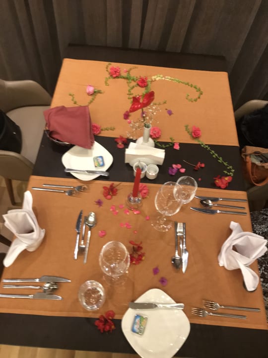 Gastro Arum Barut Collection