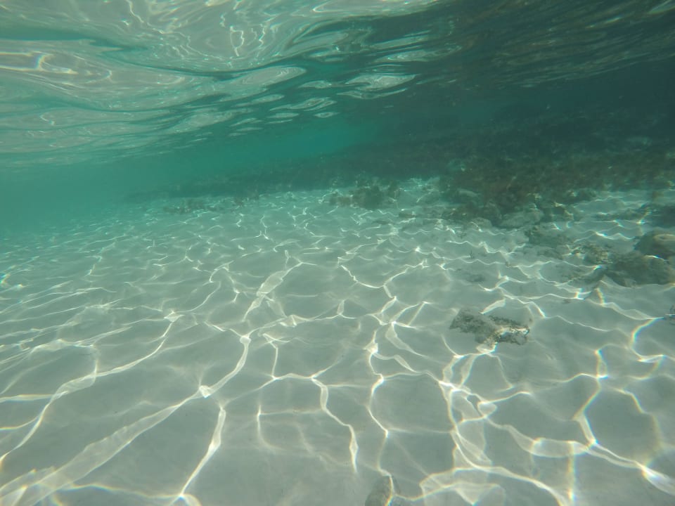 Beim Schnorcheln Asterias Beach