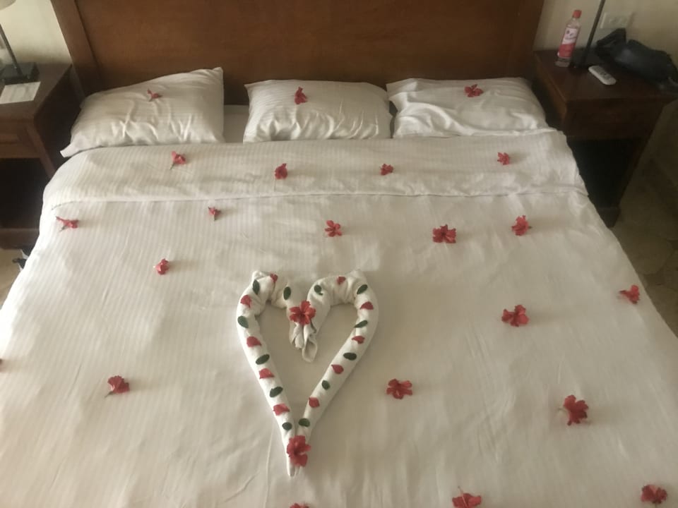 Zimmer Ghazala Gardens