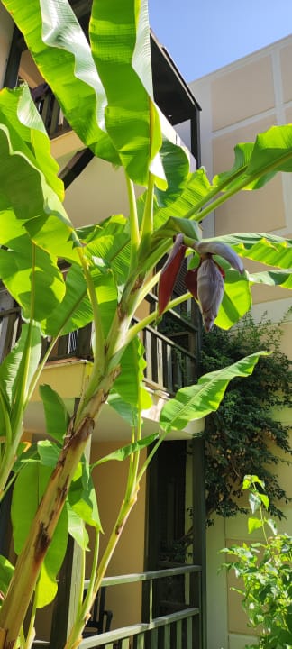 Gartenanlage Limak Limra Hotel & Resort