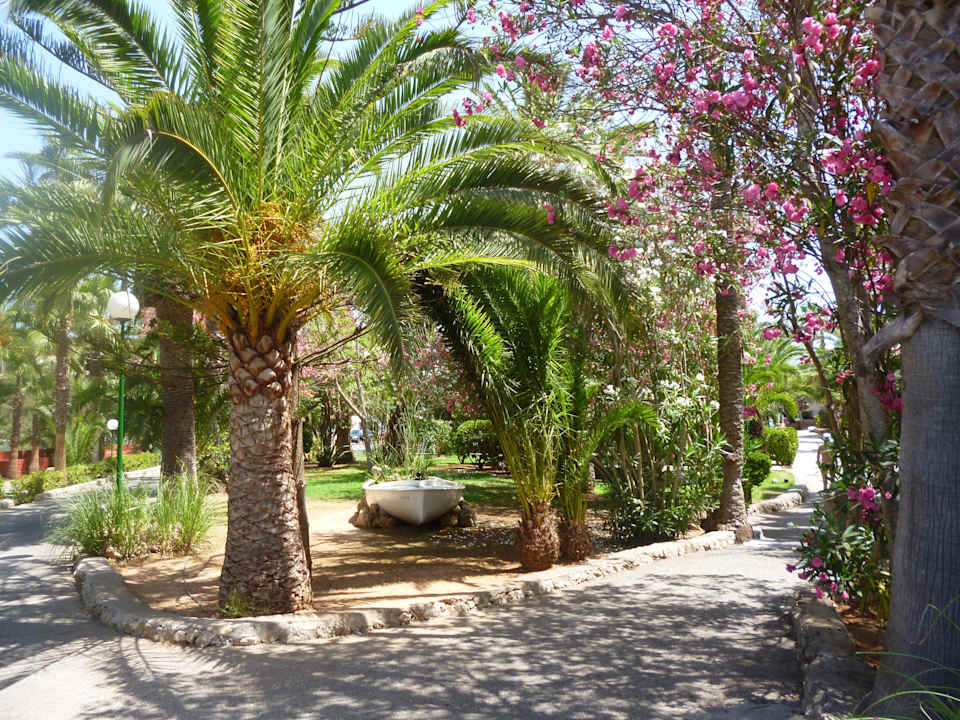 Sehr schön angelegter und gepflegter Garten Flipflop Cala Romantica