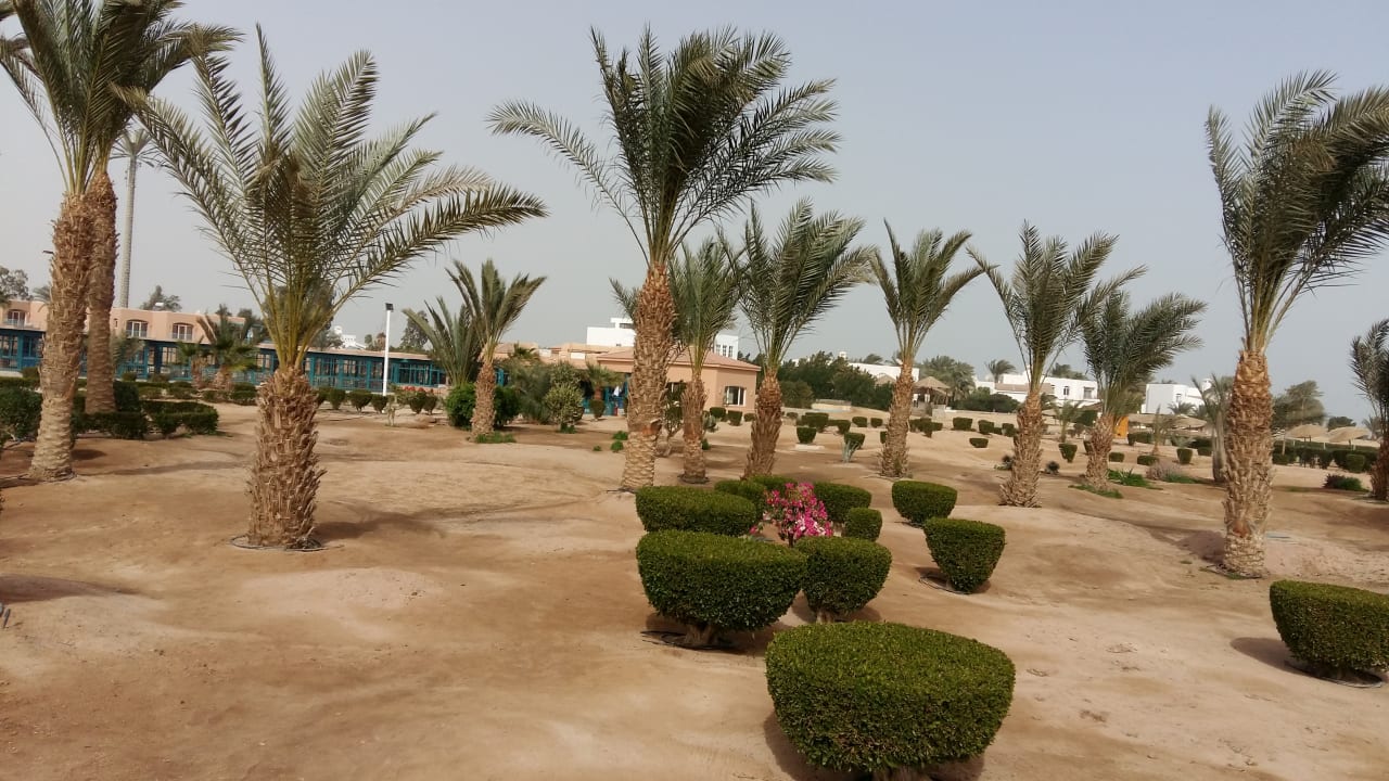 Sonstiges Club Paradisio El Gouna, Red Sea