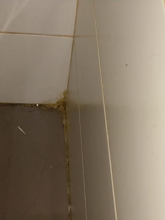 Zimmer Elba Carlota Beach & Golf Resort