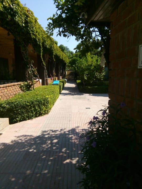 Gartenanlage Can Garden Beach