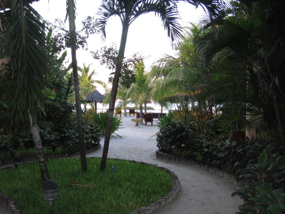 Blick durch die Anlage zum Strand Villas HM Paraiso del Mar