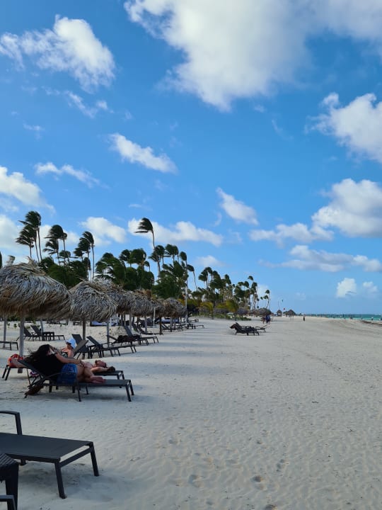 Strand Dreams Royal Beach Punta Cana