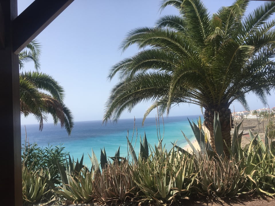 Ausblick ROBINSON ESQUINZO PLAYA