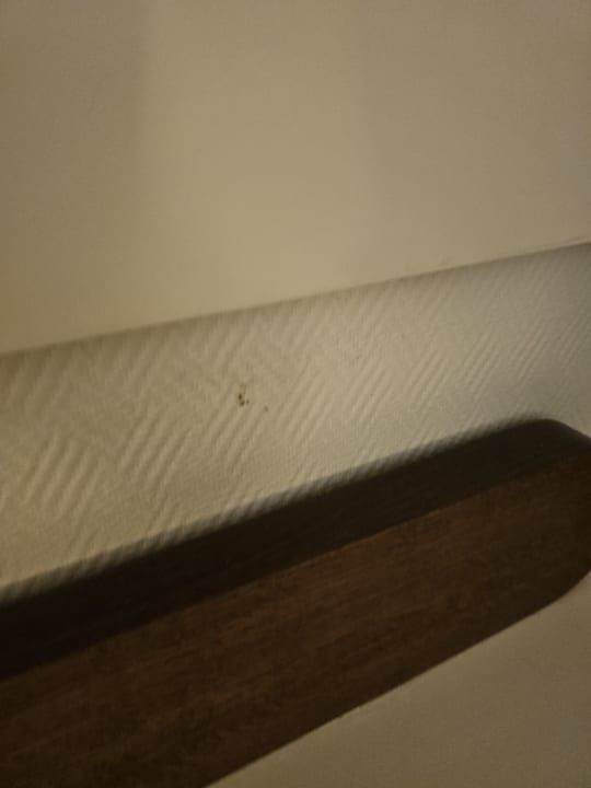 Zimmer Transatlantik Hotel & SPA