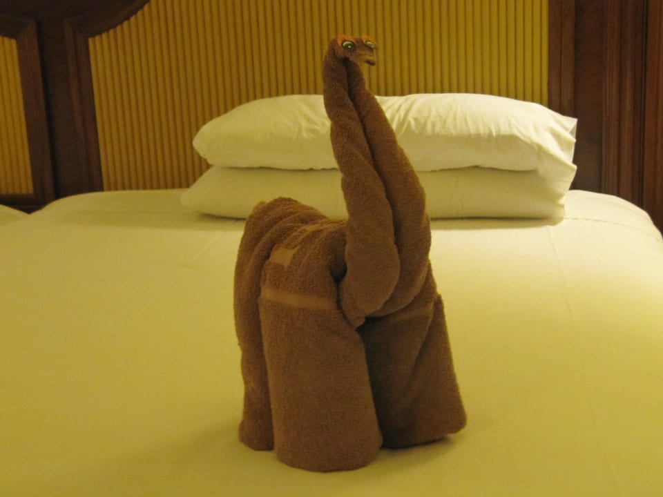 Die Handtuchfaltkunst Hotel Riu Tequila