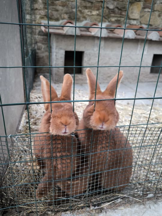 Sport & Freizeit Pension Villa Guarnaschelli