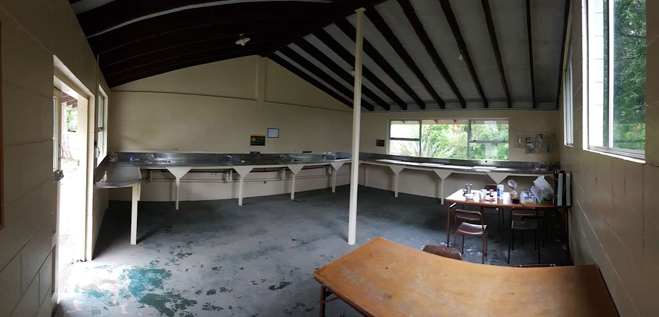 Gastro Papatowai DOC Camp