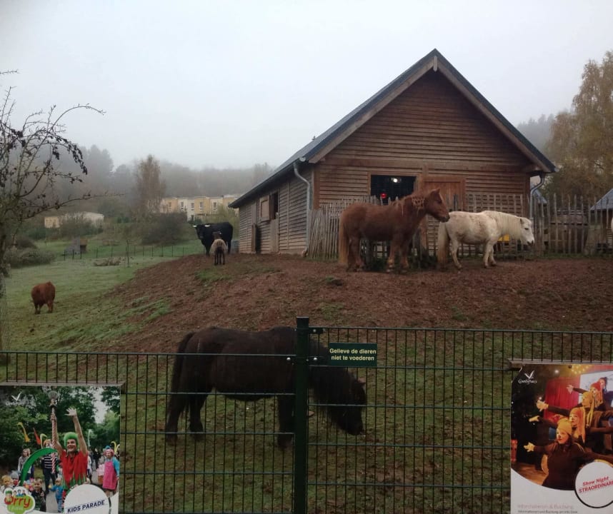 Sport & Freizeit Center Parcs Park Bostalsee