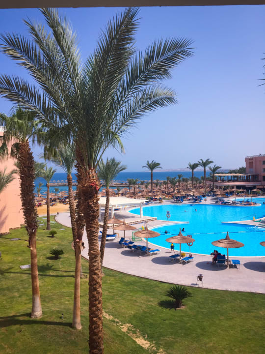 Pool Beach Albatros Resort