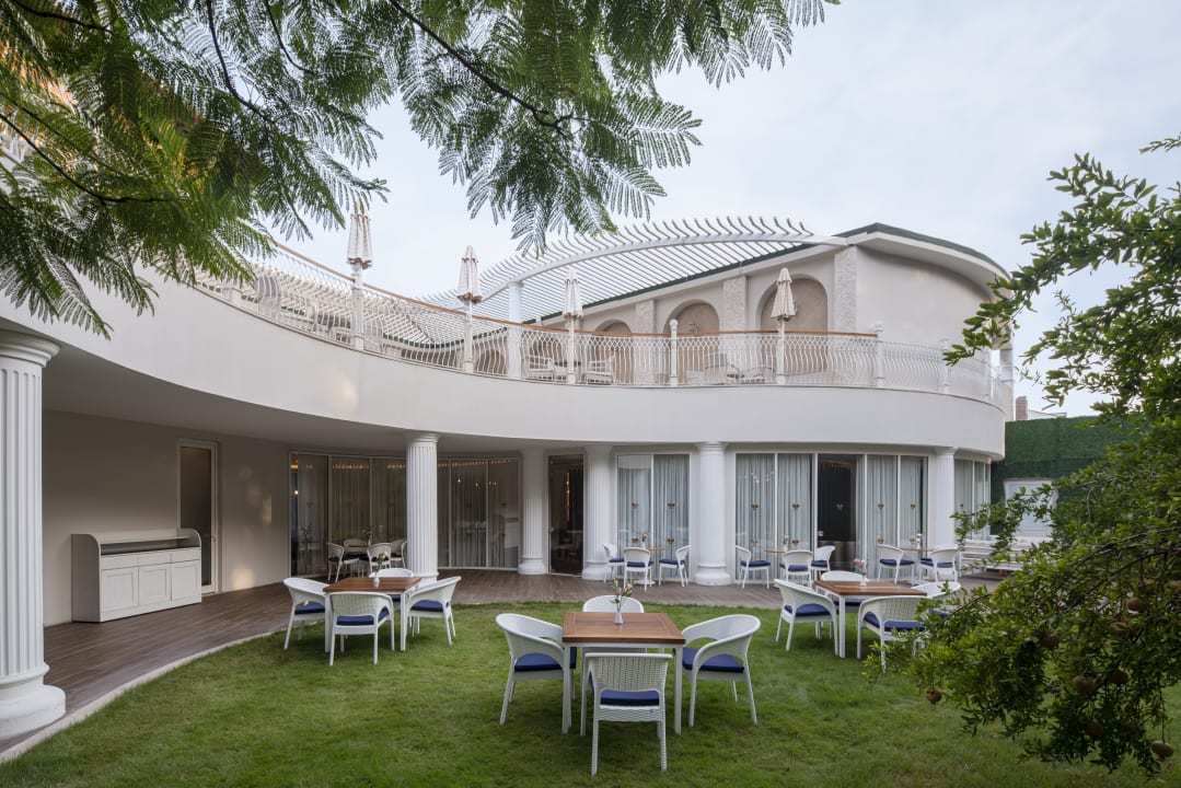 Gastro Papillon Belvil