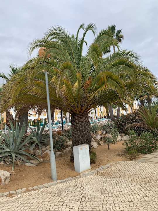 Gartenanlage Golden Club Cabanas