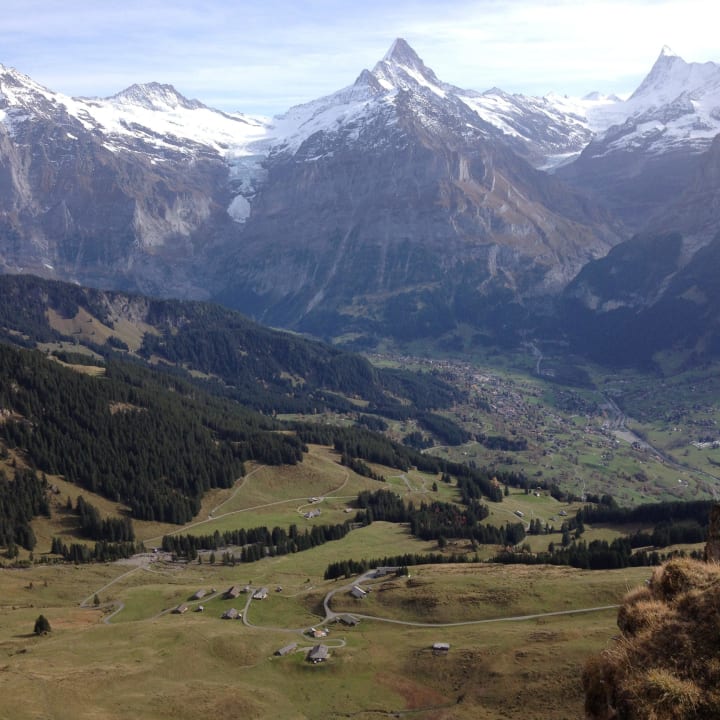 Blick auf Grindelwald Belvedere Swiss Quality Hotel