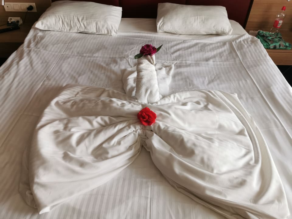 Zimmer Hotel Delphin Imperial