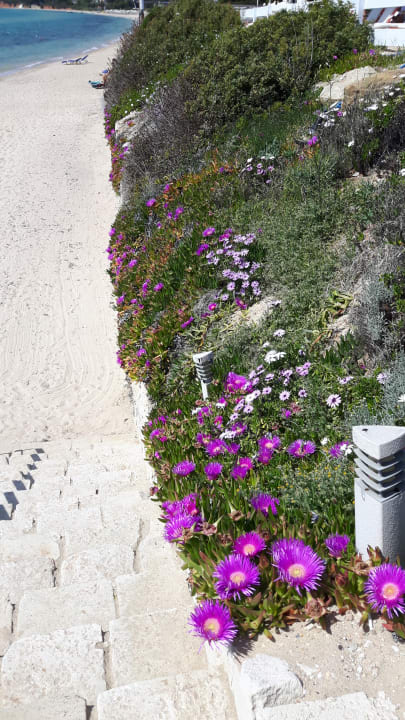 Strand Istion Club & Spa