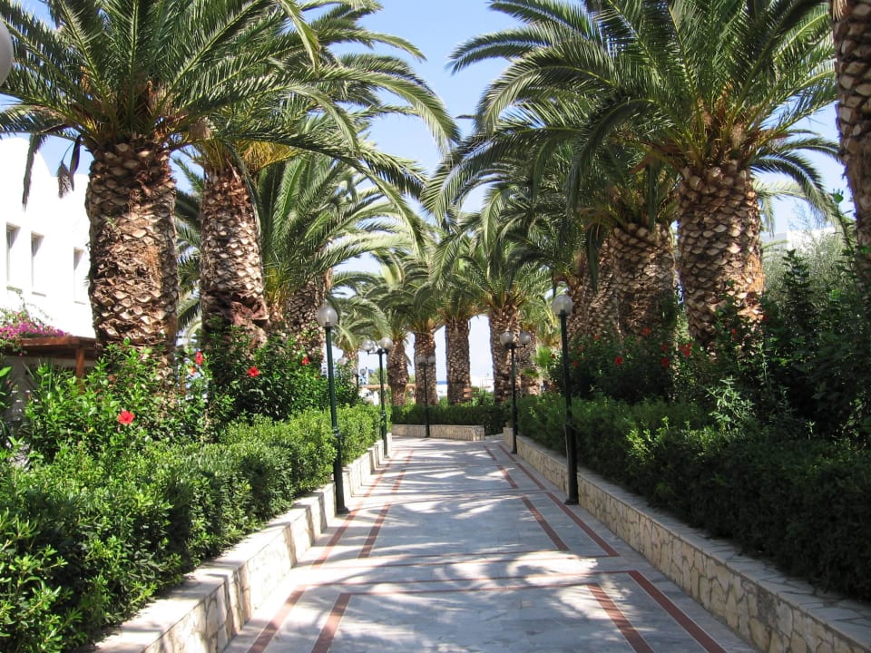 Weg zum Strand Annabelle Beach Resort