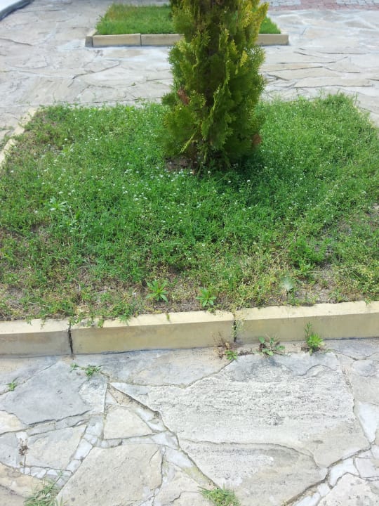 Gartenanlage ohne jegliche Pflege HI Hotels Imperial Resort