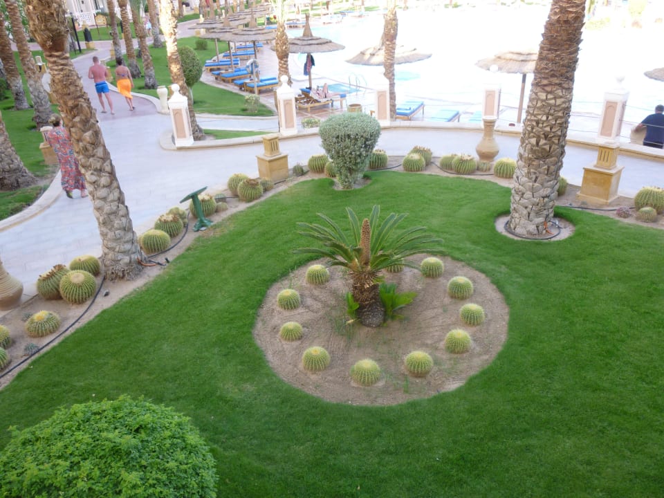 VACANCES 2014 Pickalbatros Palace Resort