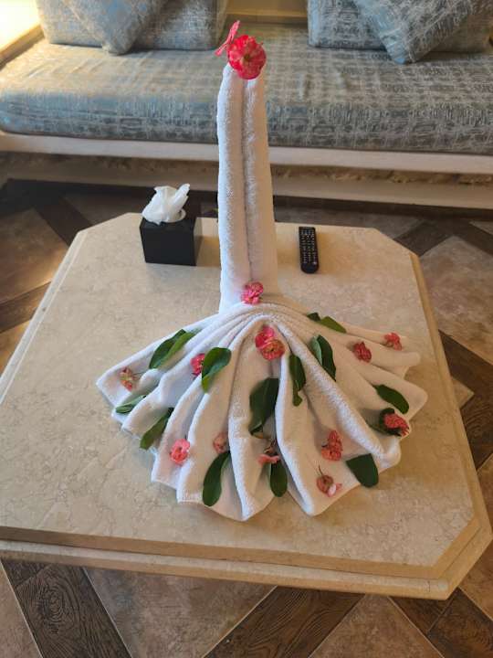 Zimmer Pickalbatros Citadel Resort