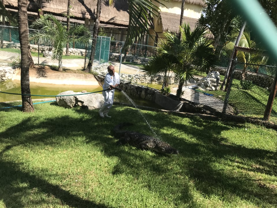 Sonstiges Grand Palladium Kantenah Resort & Spa