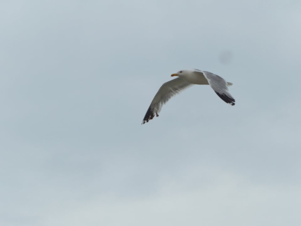 Ausblick Sol Luna Bay