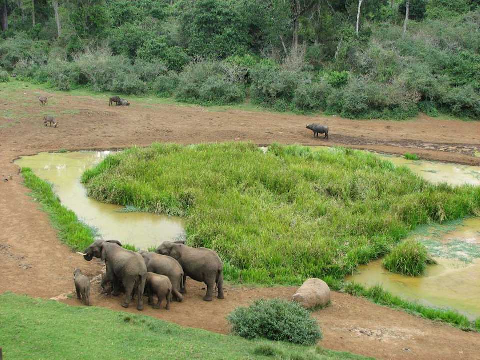 Wasserloch an der Mountain Lodge Hotel Serena Mountain Lodge