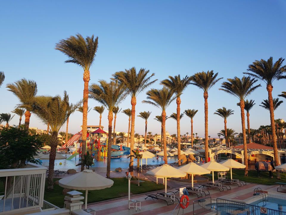 Pool Beach Albatros Resort