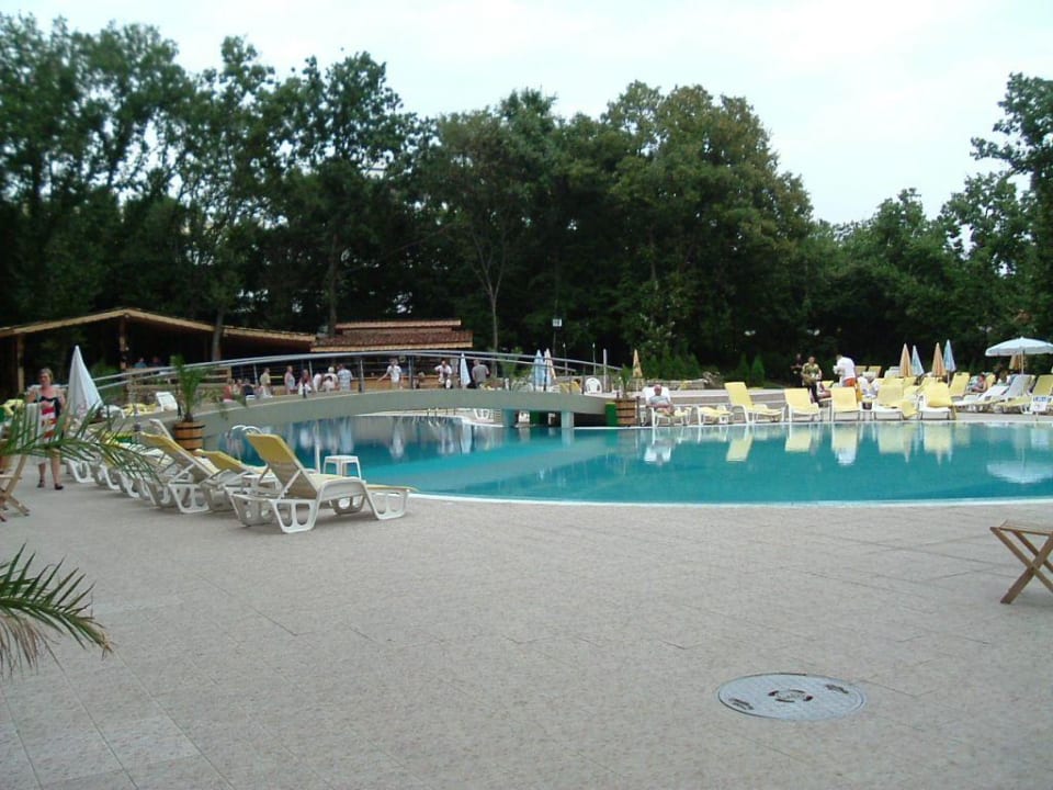 POOL! HVD Viva Club Hotel