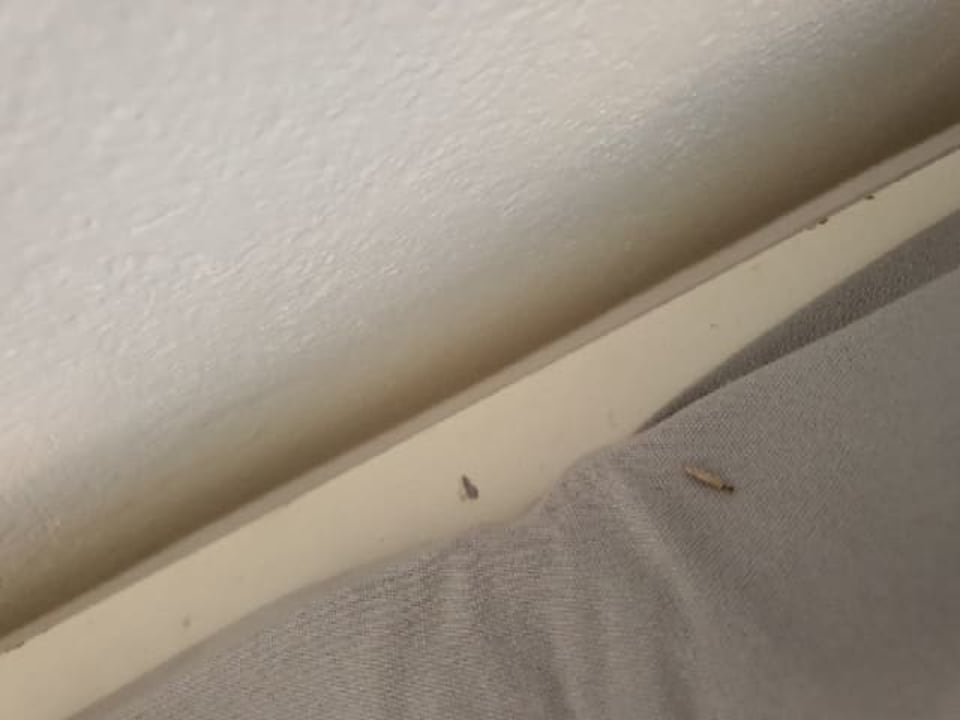 Zimmer Knossos Beach Bungalows Suites Resort & Spa