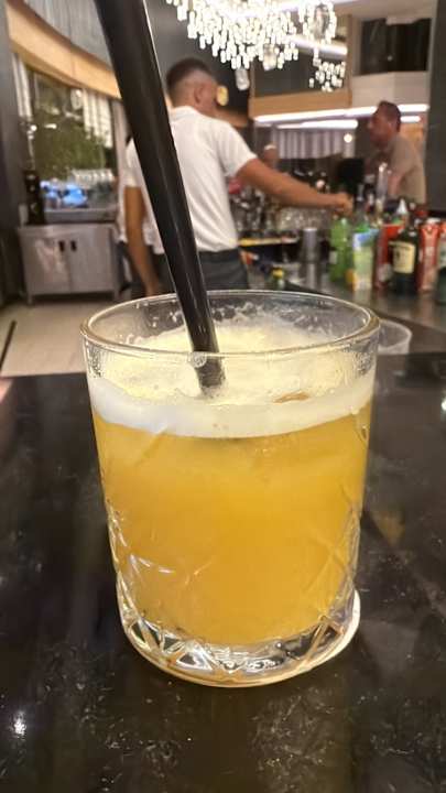 Gastro Seashell Vega