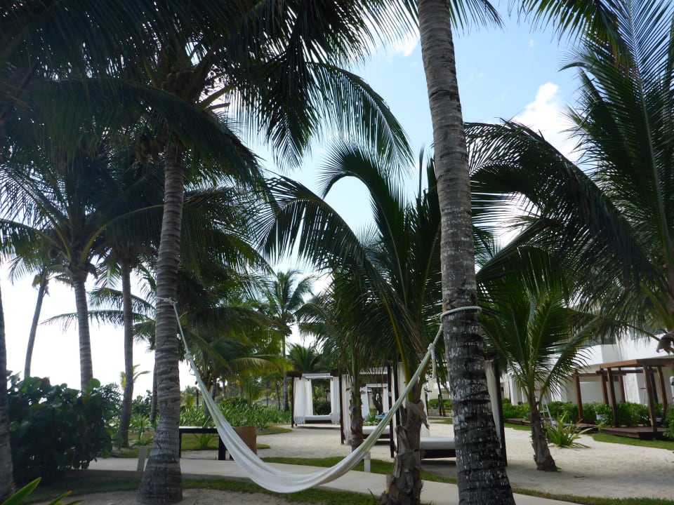 Gartenanlage Akumal Bay Beach & Wellness Resort