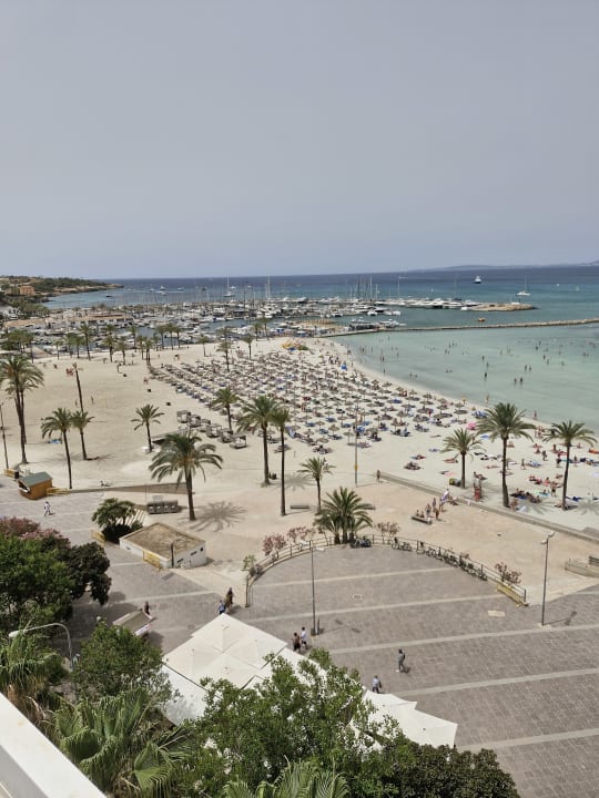 Ausblick whala!beach