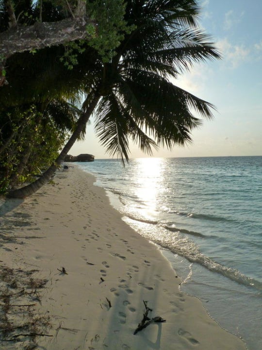 Abenddämmerung Vilamendhoo Island Resort & Spa