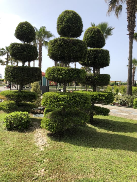 Gartenanlage VONRESORT Golden Coast