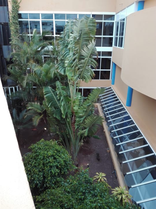 Gartenanlage Club Hotel Drago Park