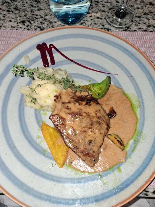 Gastro JAZ Elite Asteria