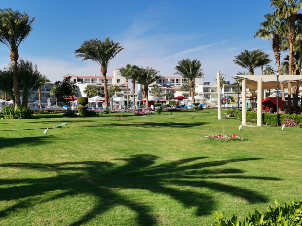 Gartenanlage Amarina Abu Soma Resort & Aquapark