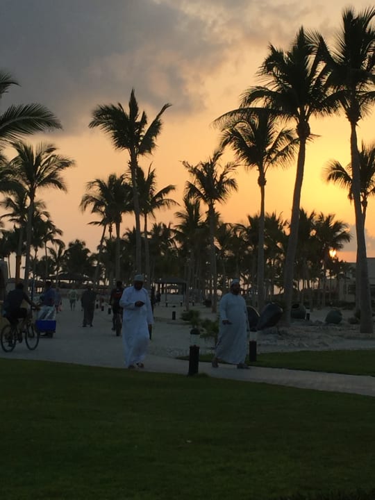 Gartenanlage Salalah Rotana Resort