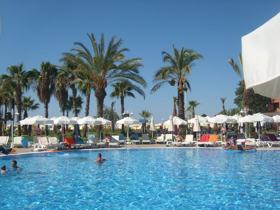 Eng bei einander stehende Liegen am Pool Annabella Diamond Hotel & Spa