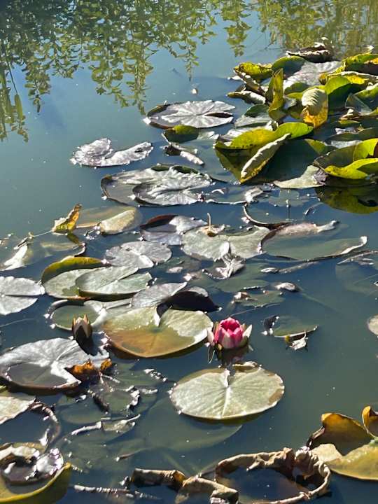 Außenansicht Revital