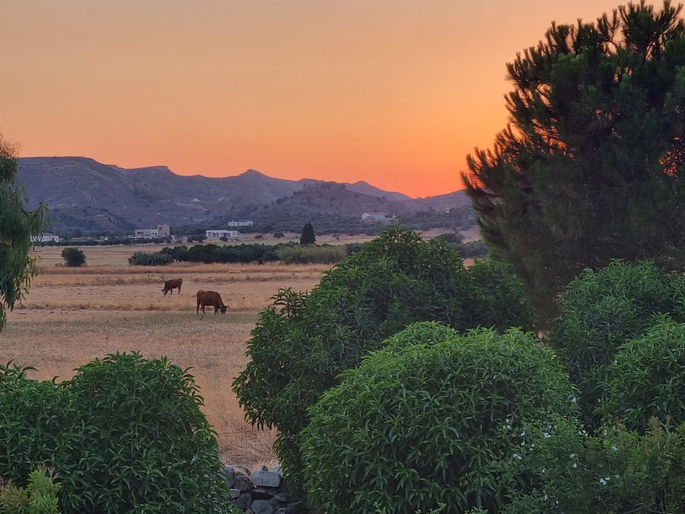 Ausblick Kalimera Mare