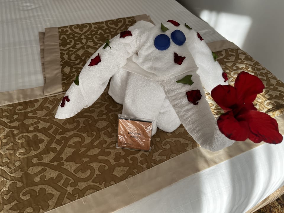 Zimmer Steigenberger Makadi Hotel - Adults only