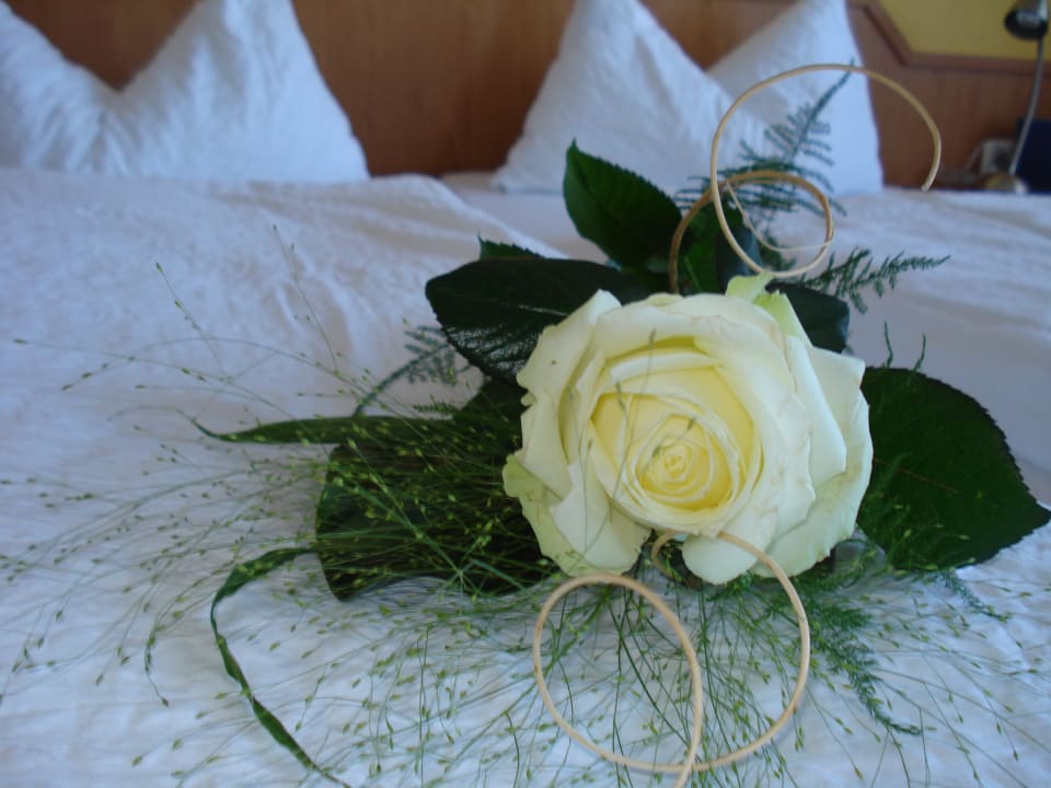 Zimmer Haus Antonius