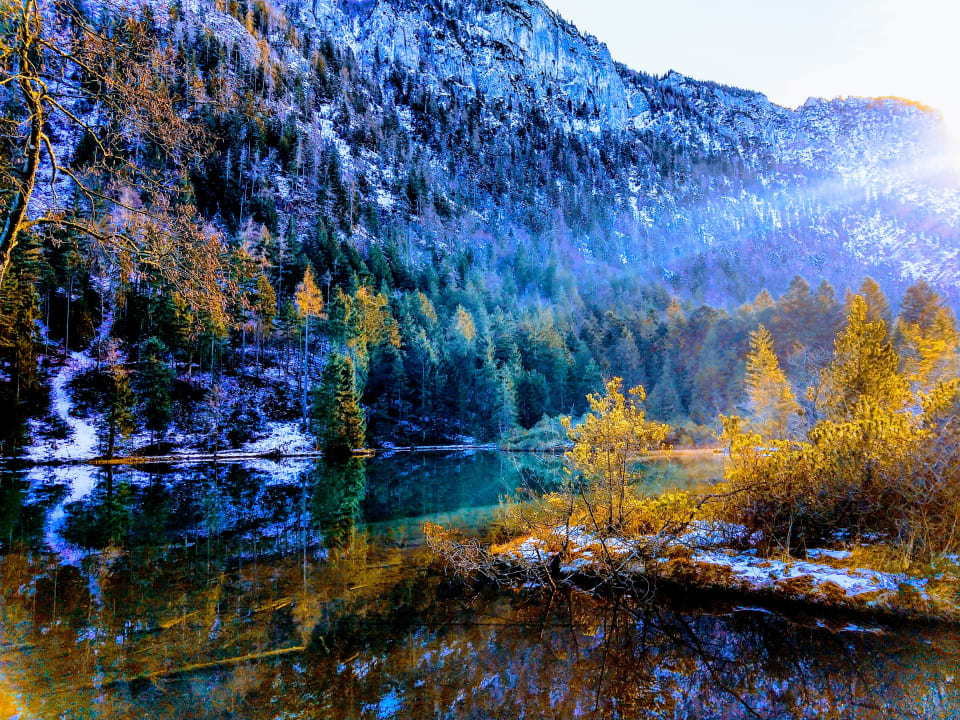 Sonstiges Ahorn-Appartements