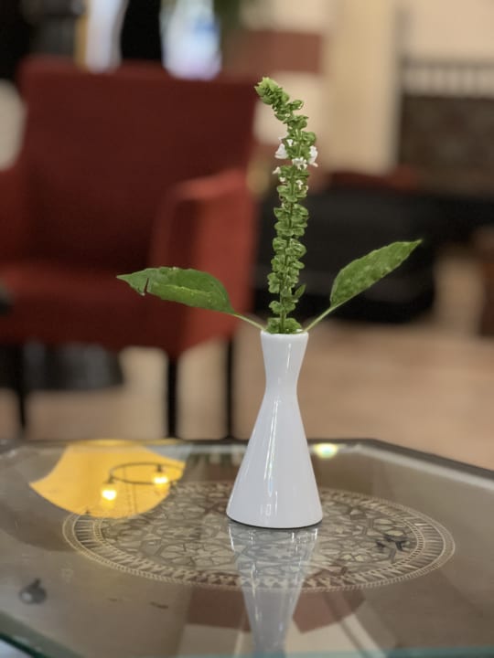 Lobby Jaz Makadi Oasis Resort